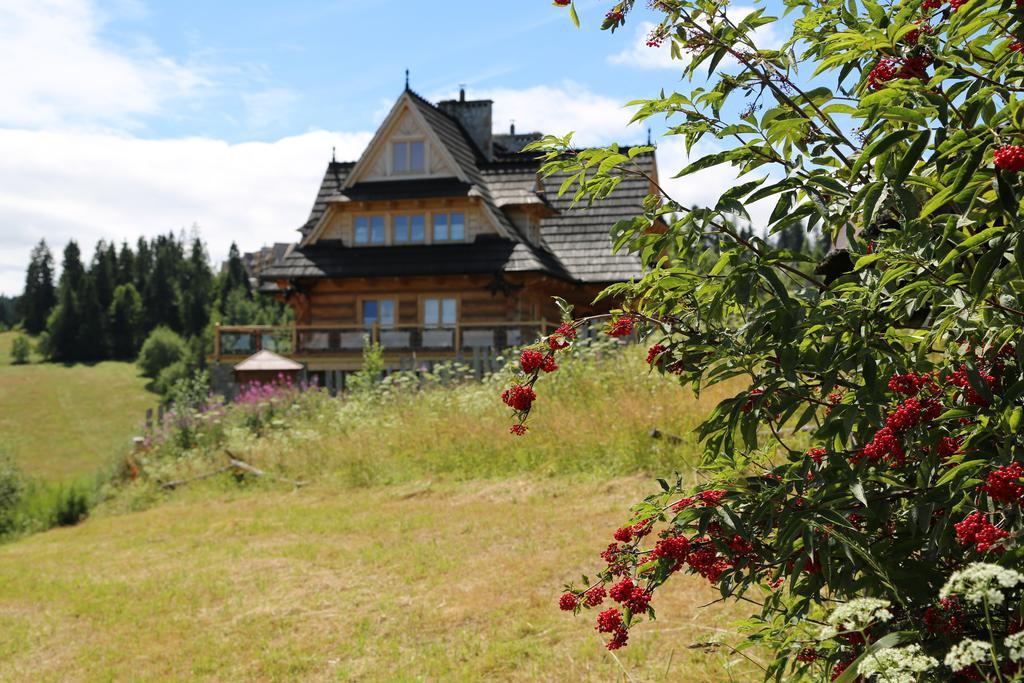 Appartement Dom Pod Smokami à Bukowina Tatrzańska Extérieur photo
