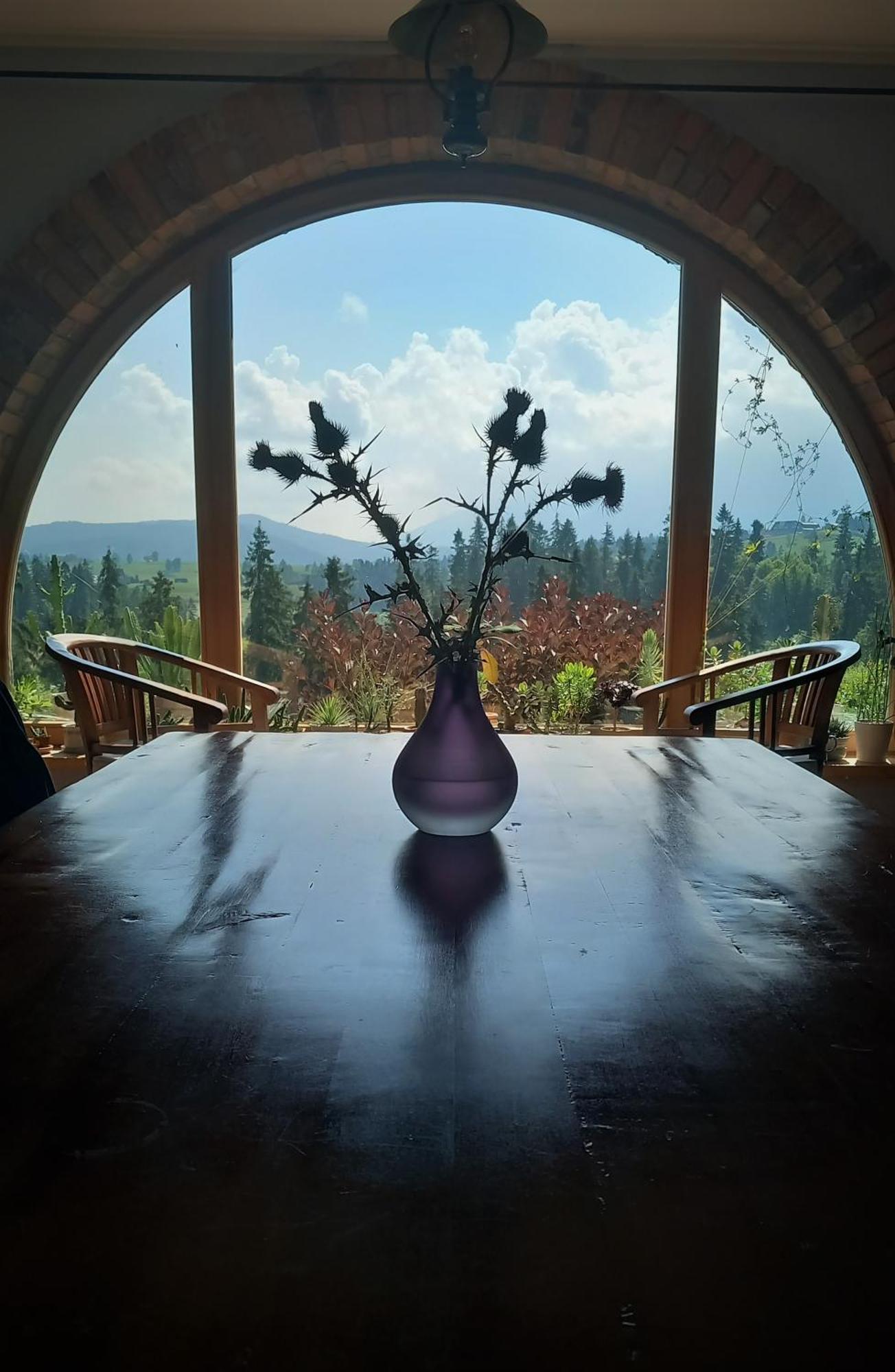 Appartement Dom Pod Smokami à Bukowina Tatrzańska Extérieur photo